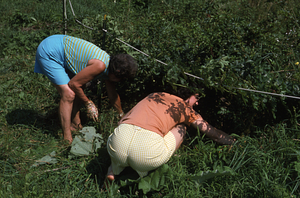 Fran Immerman (left) and Robin Jensen (right) working on Buxton Garden restoration project.