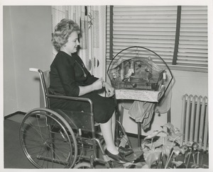 Mrs. Frances Marsala seated in her wheelchair admiring her birdcage