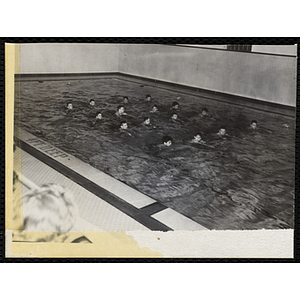 Boys swim in four lines of four in a natorium pool