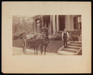 Horse pulling carriage with unidentified rider