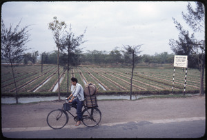 Foshan: bicycle with kegs, fields in background