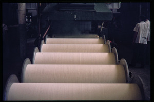 Cotton mill: large spools of fine cotton yarn