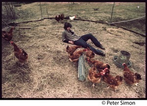 Tim Rossner with hens at Tree Frog Farm commune