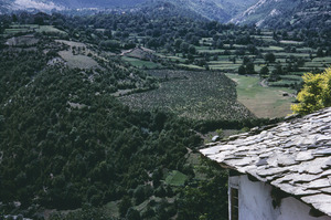 Fields surrounding Sveti Jovan Bigorski monastery