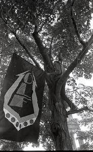 Gay liberation demonstration at Cambridge Common: man hanging Gay Liberation Front flag