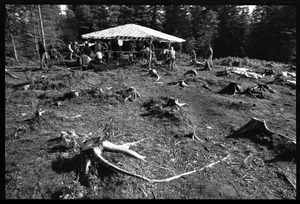 Communal meal under a makeshift cooking tent, Earth People's Park