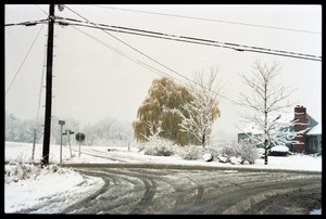 South Maple Street, Amherst, after a heavy, wet snow