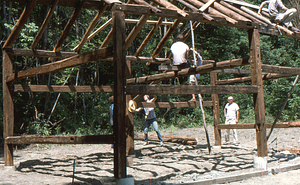 Rafters nearing completion at the Moon Barn Raising at entrance to Hopkins Forest on 2 August 1975.