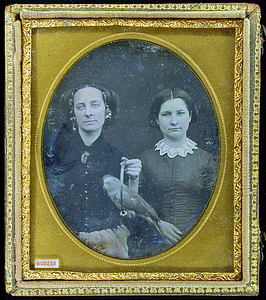 Portrait of two women with a parrot on a swinging perch