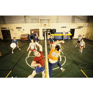 Group of players in a volleyball game