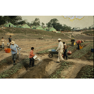 Adults and children working in fields