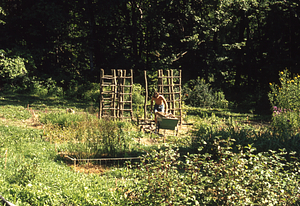 Grape arbor under construction in the Buxton Garden.
