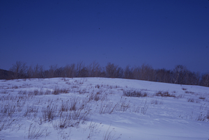 Panorama to the East, Jim Smith Hill, Taconic Crest. Image 3. View to north.