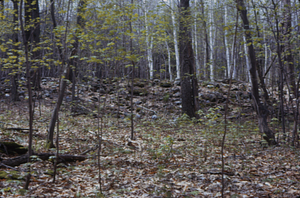 Ford Glen southwest of Sheep Barn Site.