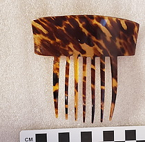 Comb, Ornamental