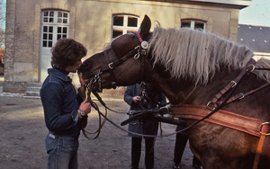 Man and horse exchange a kiss