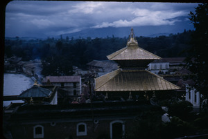 Rooftops around Pashupatinath Temple