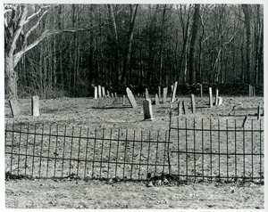Cemetery on Rattlesnake Gutter Road
