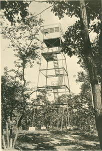 Forestry and Wildlife Management - Mt. Toby Forest