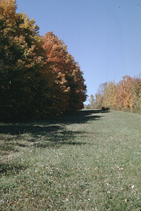 View toward the top of Northwest Hill Road from the east side of the NW Rd. Hedgerow.