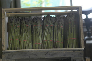 Hibbard Farm: Asparagus bunched and packed in a crate