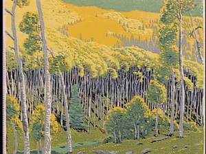 ¡Colores!; Gustave Baumann