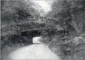 Great Woods Road, north of Burrill Hill, Lynn Woods