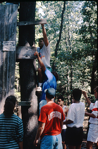 Students climbing a tree at Freshman Camp