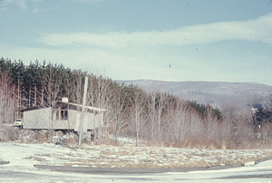 Forest Road Development - Jack MacFadyen Lot 3.