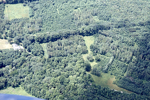 Aerial oblique view of U.S. Forest Service genetic plantations in USFS Compartments IV and V on 14 July 1971.