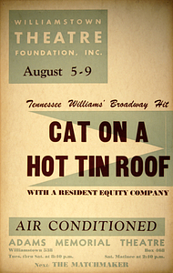 Cat on a Hot Tin Roof