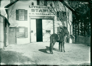 Exterior view of the G.H. Warren and Sons Stables, Shrewsbury, Mass., undated