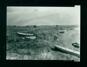 Salt marsh with skiffs, Newbury, Mass., 1900-1915