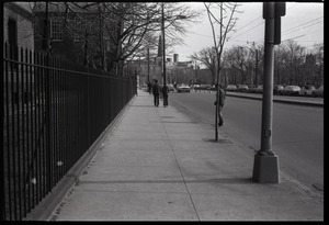 View looking south down Massachusetts Ave. near Waterhouse Street and Cambridge Common