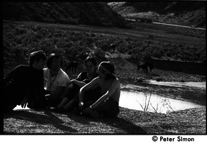 Peter Simon, Marty Jezer, Verandah Porche, and Raymond Mungo (l. to r.) seated by the edge of a stream, with horses in the background