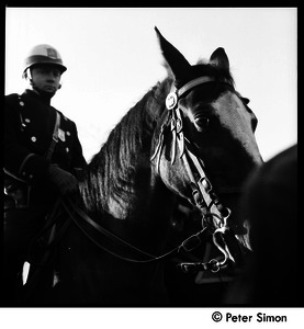 Mounted police at the Be-In, Central Park, New York City