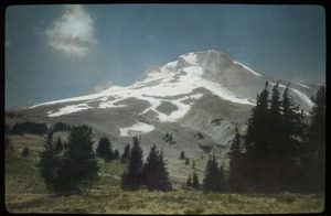 Snowcapped mountain with evergreen trees at base