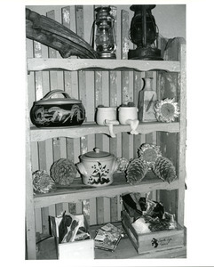 Fanslow's shelf with things