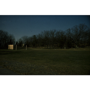 Field at dusk