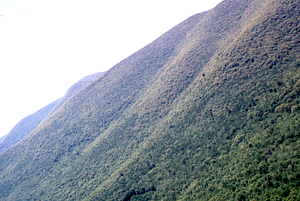 Aerial oblique view Taconic Ridge from Moon - Primmer Farm on 28 May 1972 in the Hopkins Forest.