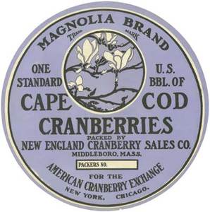 Magnolia Brand