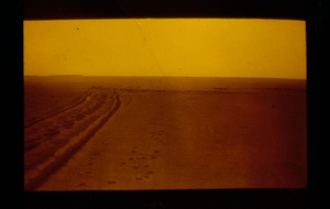 Wheel Tracks Over the Dunes