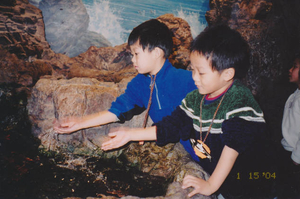 Brotherhood and lifelong friends--my sons at New England Aquarium field trip together