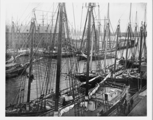 View of schooners at T Wharf, Boston, Mass., 1880s