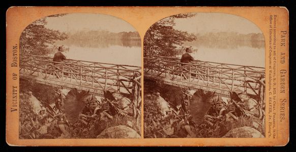 Stereograph of rustic bridge and Lake Waban, Hunnewell Estate, Wellesley, Mass.
