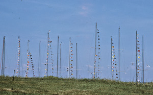 Masts behind a grassy horizon