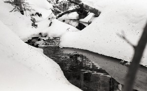 Stream running through snow-covered woods