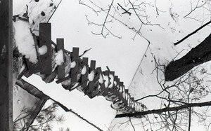 View down precarious ladder into treehouse