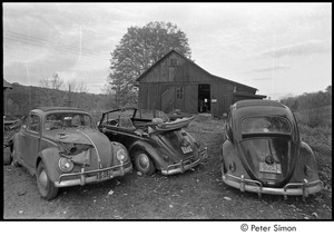 Three Volkswagen Beetles in front of a barn