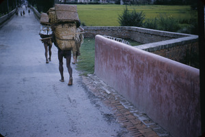 Porters carrying goods to market